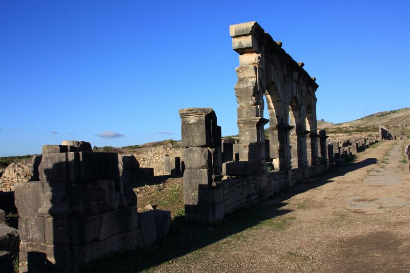 142-Volubilis,29 dicembre 2013.JPG